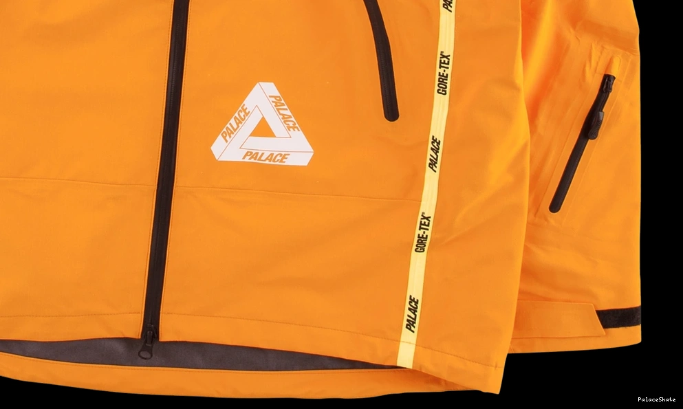 Cheap Palace Gore-Tex Palex Jacket 0716